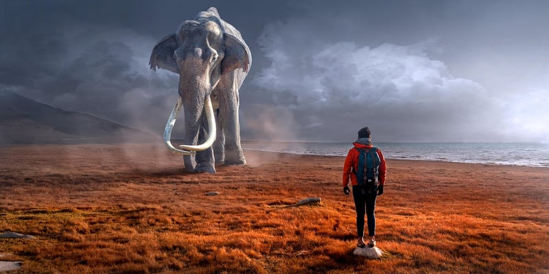 Surreal Landscape